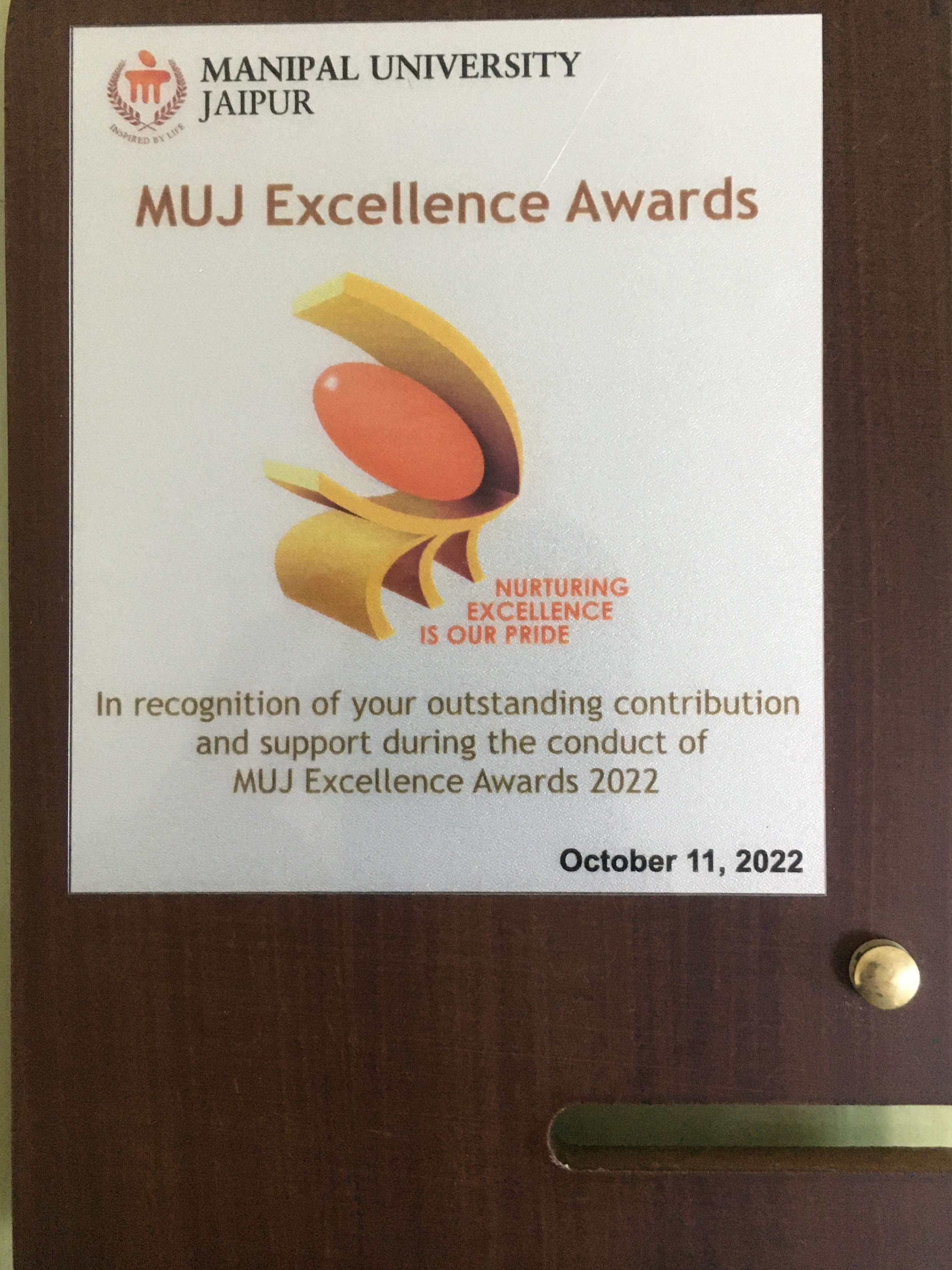 MUJ Excellence Award - Image 1