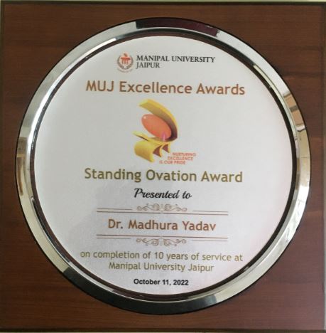 Standing Ovation Award - Image 1
